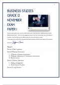 Business Studies Grade 12 Paper 1 & 2 November exam.