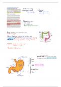 Class notes BIO413 