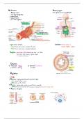 Class notes BIO413 