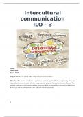 Module 4, ILO 3 interculturele communicatie (beoordeeld met 5.5)