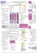 Summary Systems Neuroscience 