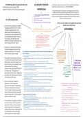 Criminal and Civil Litigation Mind Maps and Notes - Very Competent - Outstanding