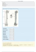 BIOL 1232K Earthworm Lab Report - Columbus State University