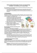 Samenvatting boek fundamentals of human neuropsychology