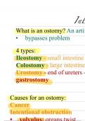  Ostomy