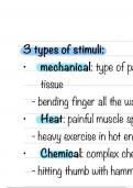 2023 Pain, stress, coping, mobility, ostomy, lab values, perfusion, gas exchange, comfort, oxygen therpy, lung sounds, vital signs, tissue integrity, elimination, fluid and electrolytes, sensory, undernutrition, metabolism, digestion