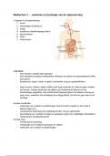Biomedisch periode 3 - spijsvertering