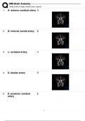 MRI Brain Anatomy (registry review) Rated 100% Correct!!