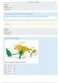 BIOL 1232K Plant Reproduction Lab Report - Columbus State University