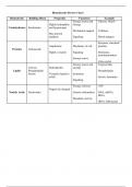 Biomolecules Review Chart KEY