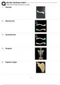 Bio 201 Lab Exam 2 GCU (Bones) 2023.