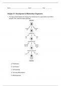 Chapter 21: Development of Multicelluar Organisms TEST BANK MOLECULAR BIOLOGY OF THE CELL, 7TH EDITION BRUCE ALBERTS