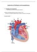 Anatomie en Fysiologie van de pasgeborene