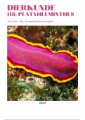 Hoofdstuk 8: platyhelminthes 