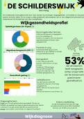 Beroepssituatie 11/BS11, infographic schilderswijk