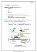 HC 30 & 31: Modelsystemen