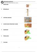 BIO 254 practical 2