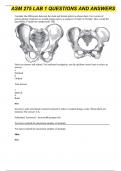 ASM 275  LAB 1 QUESTIONS  AND ANSWERS 