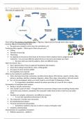 Summary Research Methods for Analyzing Complex Problems exam 1 + 2 (full)