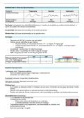 Samenvatting - Bacteriologie en serologie 3