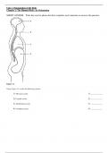 (Organization of the Body) Chapter 1: The Human Body: An Orientation  Human Anatomy & Physiology Test Bank Human Anatomy and Physiology 11th Edition Marieb.