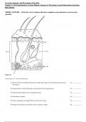 (Covering, Support, and Movement of the Body) Chapter 5: The Integumentary System Human Anatomy & Physiology Exam Elaborations Questions and Answers Test Bank Human Anatomy and Physiology 11th Edition Marieb.