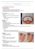 radiologie abdomen