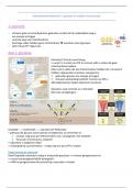 samenvatting koolhydraatmetabolismen (medische biochemie)