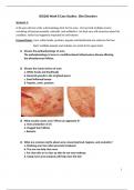 BIO 260 Week 8 Case Studies: Skin Disorders 2023/24