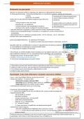 Samenvatting Neurofysiologie HST 8