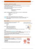 Samenvatting Neurofysiologie HST 7