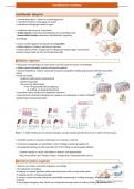 Samenvatting Neurofysiologie HST 6