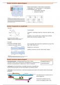 Samenvatting Neurofysiologie HST 5