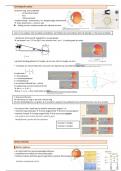 Samenvatting Neurofysiologie HST 4