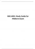 NSG 6001 Mid Term exam ( Version 2): Advanced Practice Nursing I, South University