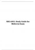 NSG 6001 Mid Term exam ( Version 1): Advanced Practice Nursing I, South University