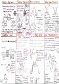 Climatology Geography One Pager IEB grade 12