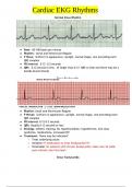 Cardiac EKG Rhythms (2023/2024)