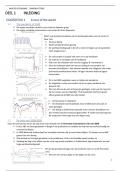 Samenvatting van Macro Economie