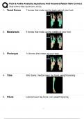 Foot & Ankle Anatomy Questions And Answers Rated 100% Correct