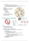 Samenvatting lessen Minor Acute Zorg