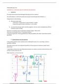 histologie H5 (cursus + lesdia's)