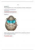 BIOD 151 Lab 4 Exam (Latest update, 2023-2024)/ BIOD151 Lab 4 Exam / BIOD 151 A & P 1 Lab 4 Exam: Essential Human Anatomy & Physiology I: Portage Learning (QUESTIONS & ANSWERS)