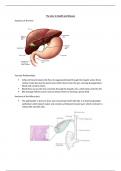 Hepatology 