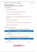 BIO 202L Lab 14 Worksheet- The Urinary System.