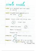 Circle Vocabulary Notes for Honors Geometry