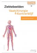 Van Chirurgie Kortverblijf tot Vaatchirurgie: Een Compleet Ziektebeelden Bestand 