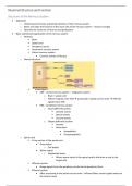 Introductory Mammalian Physiology (PHOL0002) Notes - Nervous System