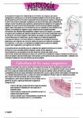 RESUMEN HISTOLOGÍA DEL SISTEMA CARDIOVASCULAR.