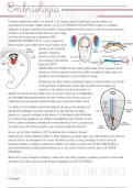 RESUMEN EMBRIOLOGÍA DEL SISTEMA CARDIOVASCULAR.